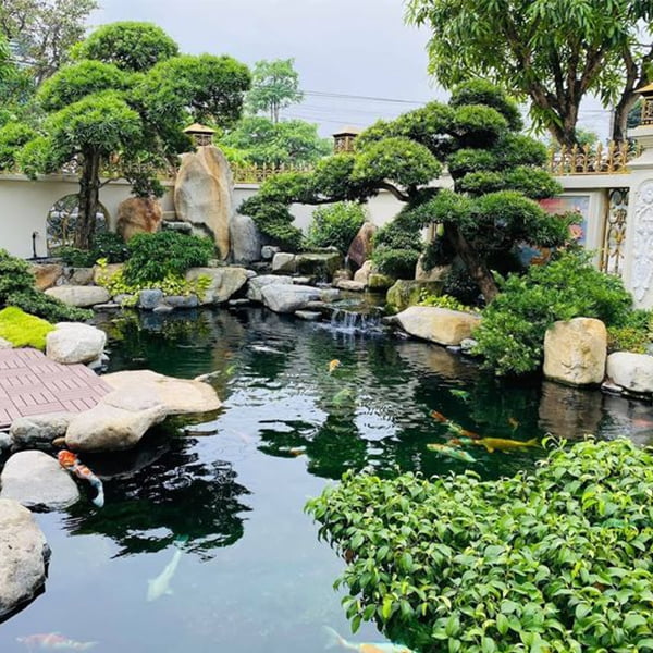 Thiết kế nội thất biệt thự